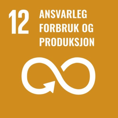 12. Ansvarlig forbruk og produksjon
