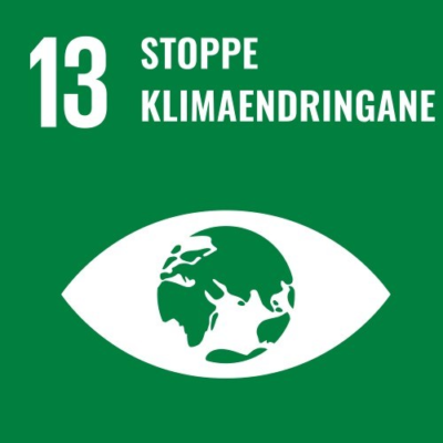 13. Stoppe klimaendringene