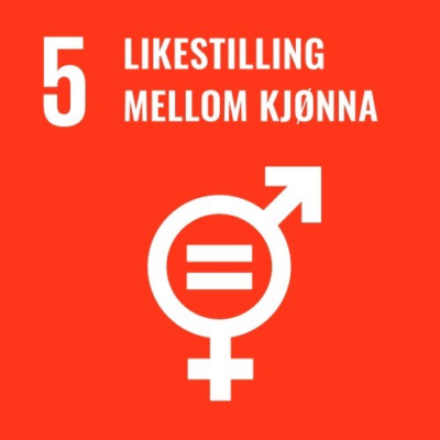 5. Likestilling mellom kjønn