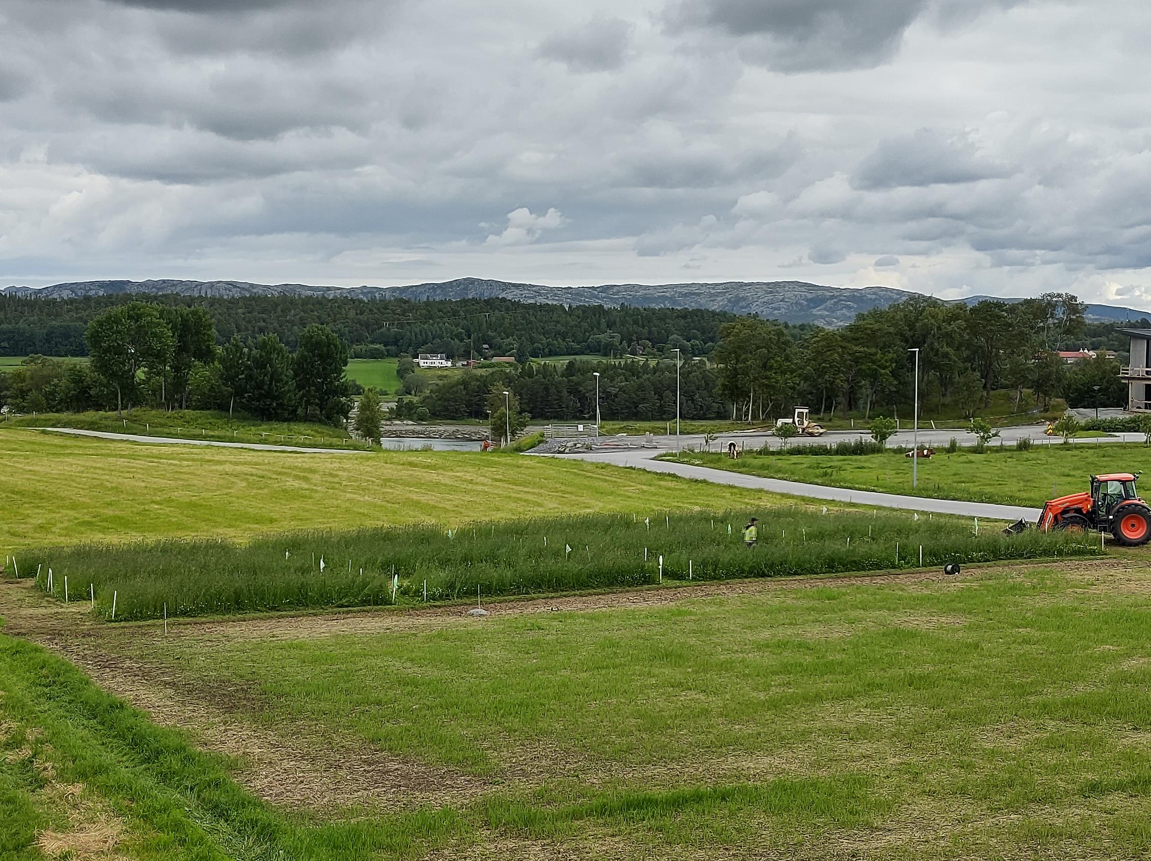 bilde av jordbruksareale ifm cirkulære synergier mellom land og vann