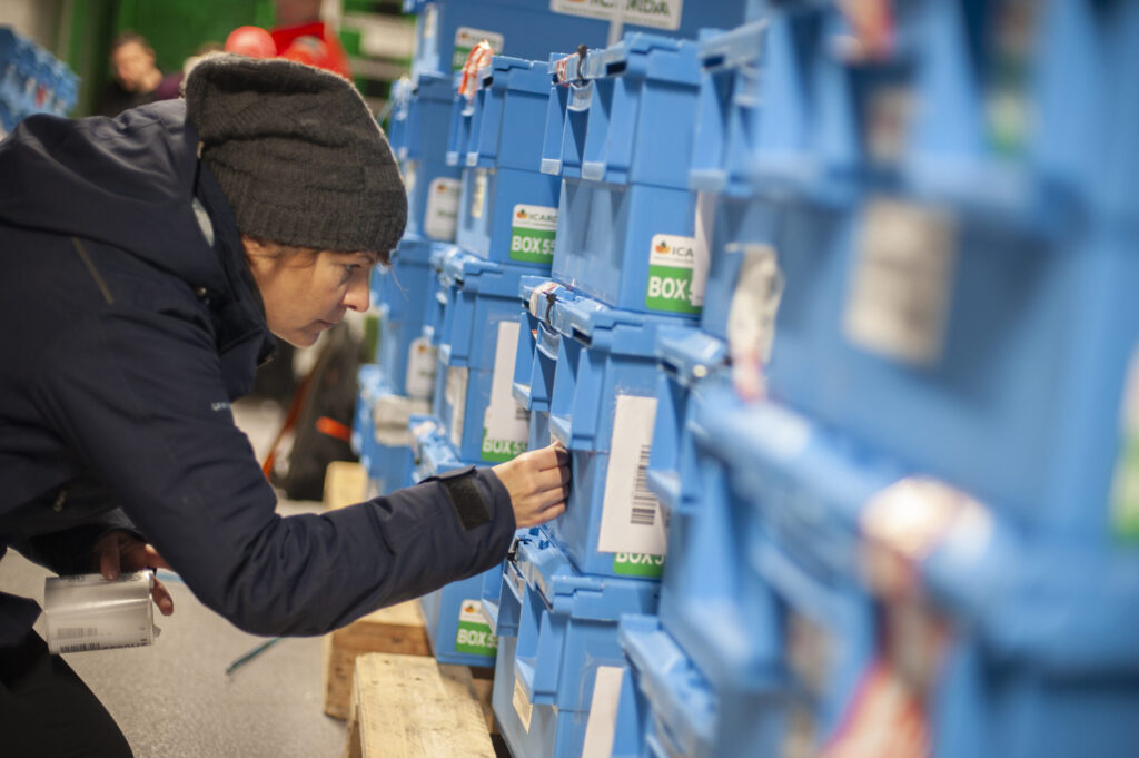 NordGen staff labelling seed boxes from ICARDA