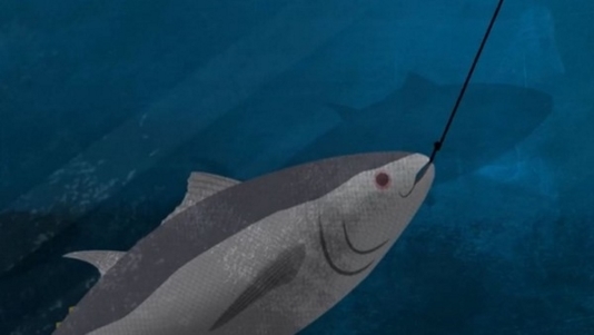 Statement from Nordic countries against organised crime in the fishing industry