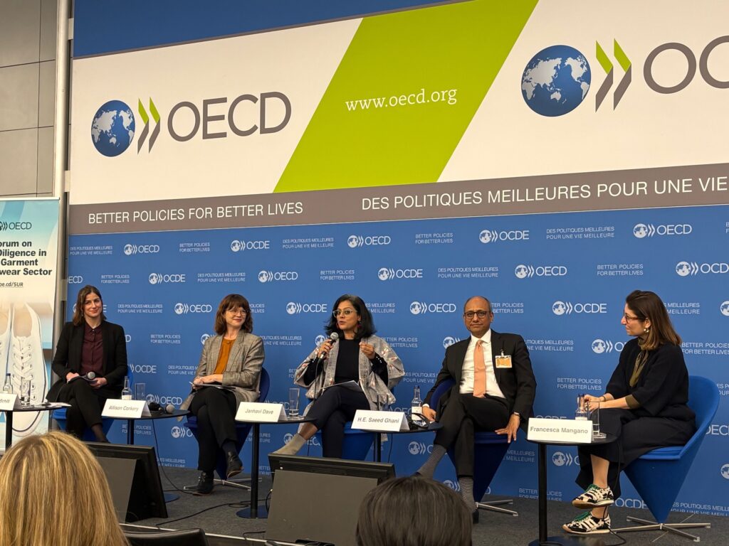 Fem personer i paneldiskusjon på scene i OECD, fire damer og en mann.