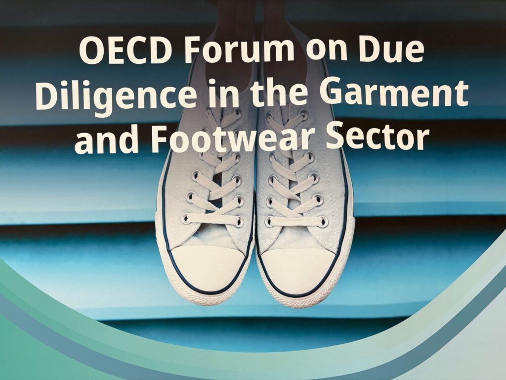 Plakat med bilde av et par tøysko på blå bakgrunn. Tekst: OECD Forum on Due Diligence in the Garment and Footwear Sector.